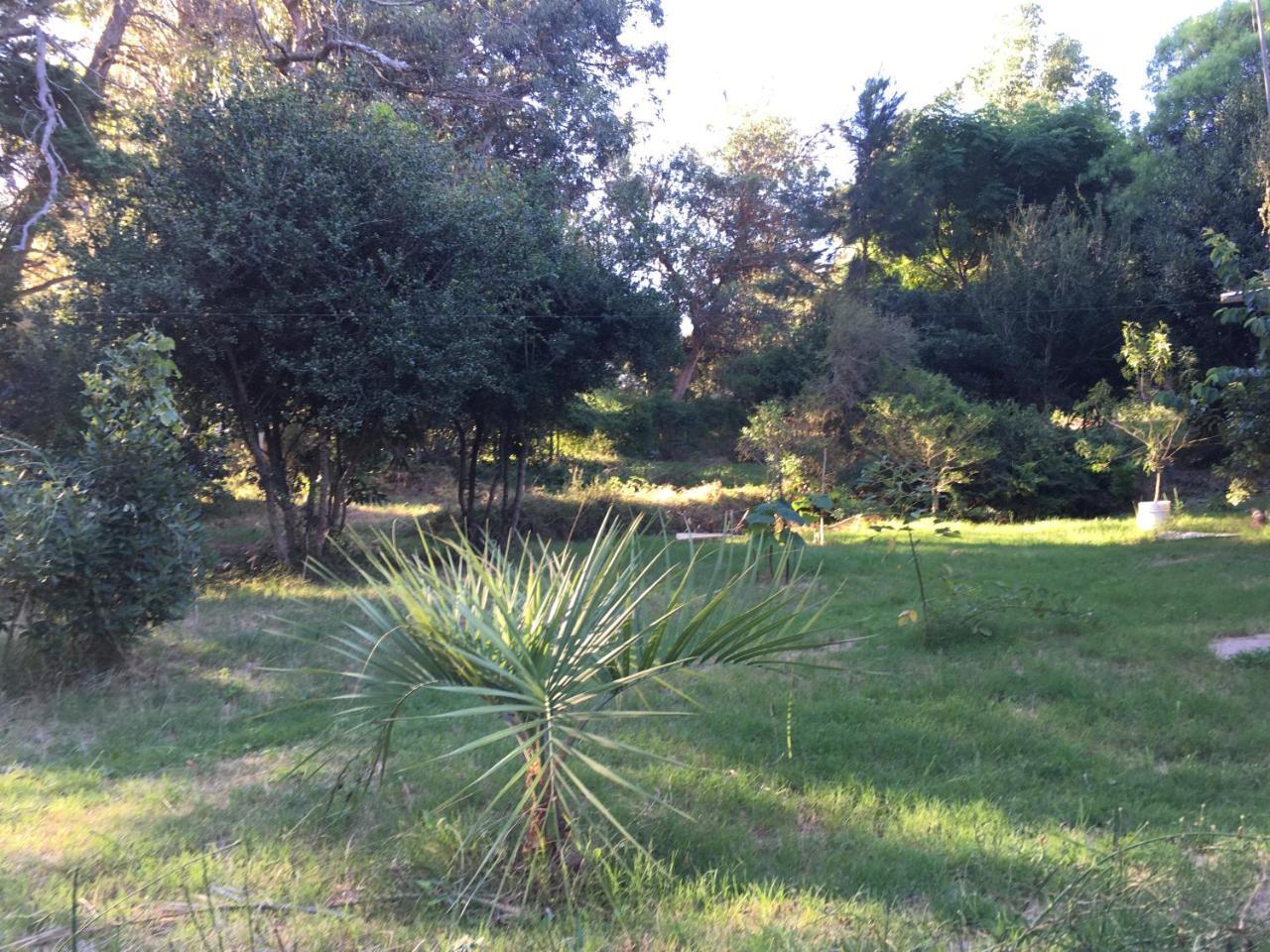 La Cabana San Luis Dış mekan fotoğraf